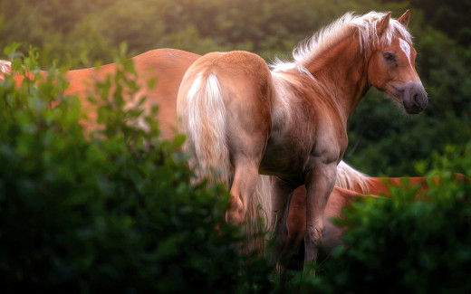 1753756 (a): :1920x1200